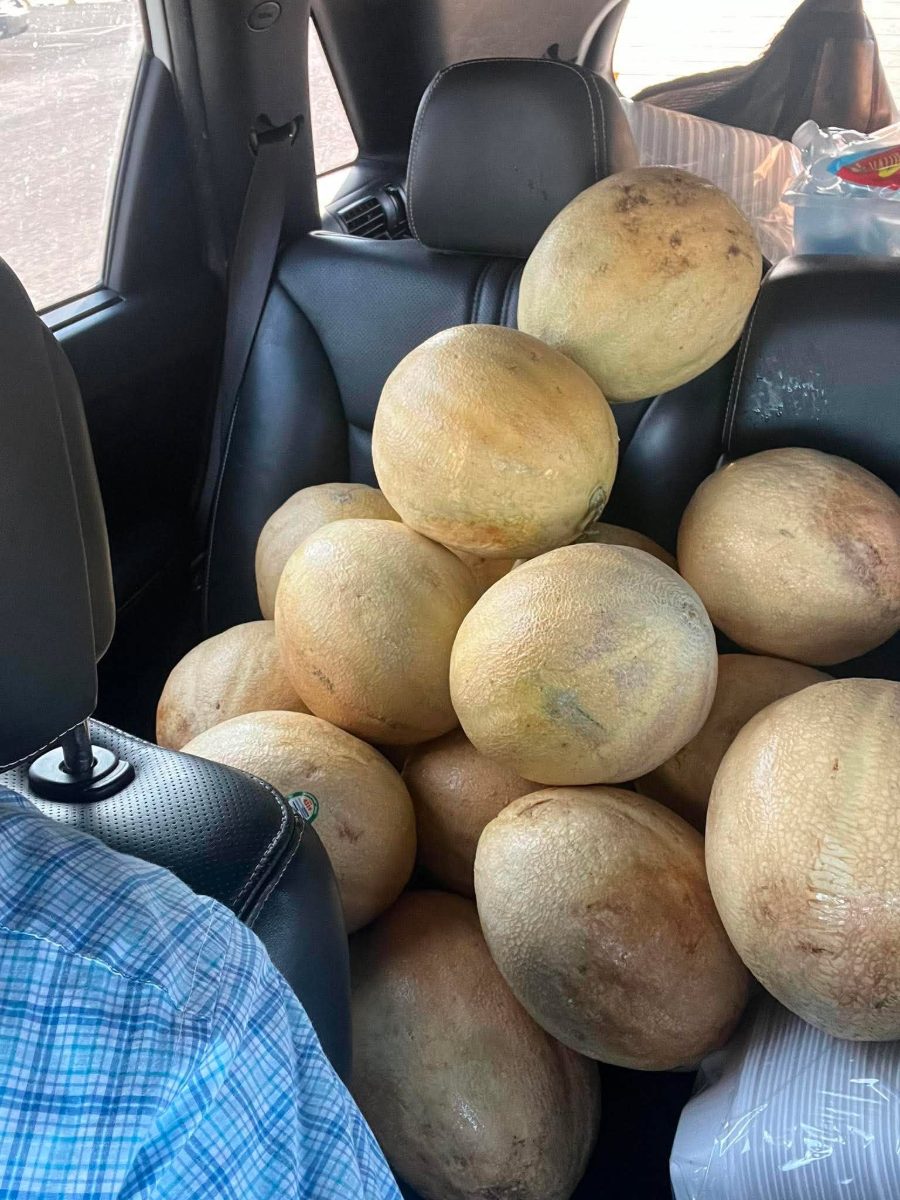 A car full of donated cantaloupes ready to share at a Street Feed